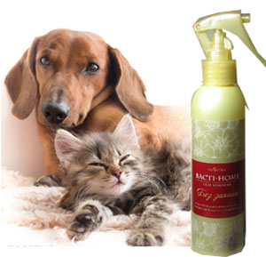 Запах от животных: как избавиться от запаха кошачьей мочи в квартире